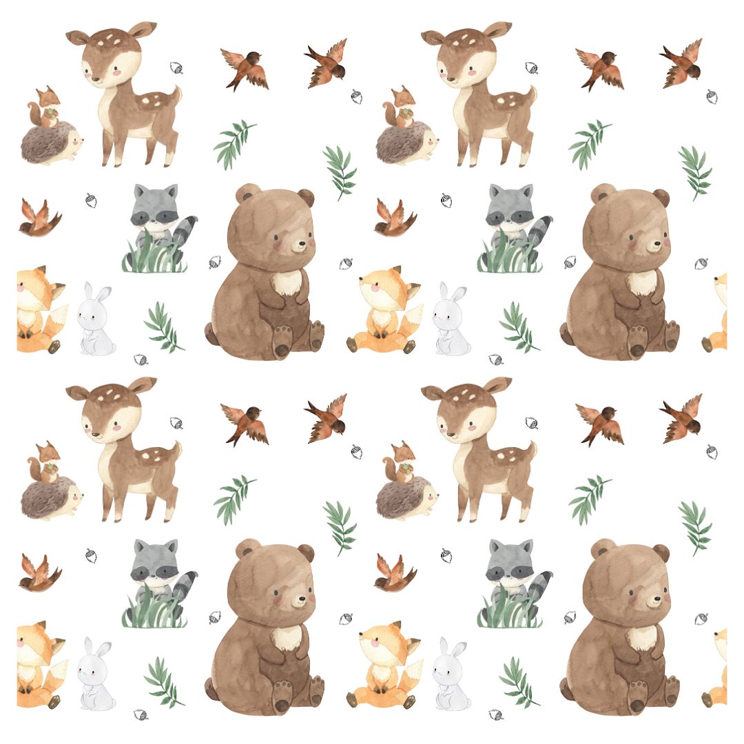 Little Cub’s Corner